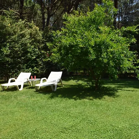 Vacation With Garden 311