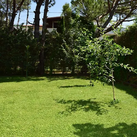 Vacation With Garden 311 골렘