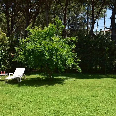 Vacation With Garden 311 Holiday home *