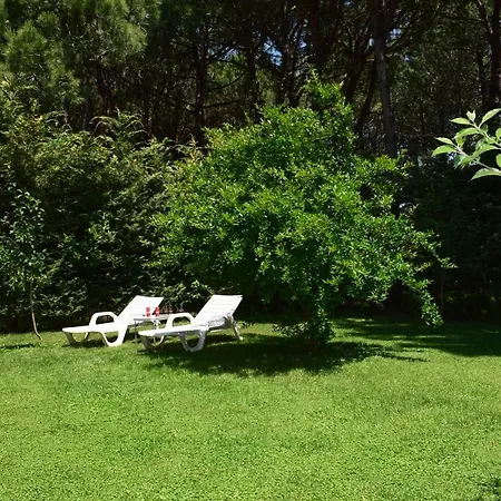 Vacation With Garden 311 Holiday home