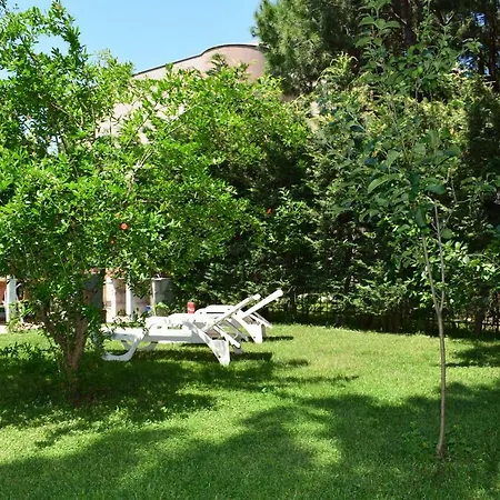 Vacation With Garden 311 *